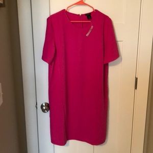 Ann Taylor Dress